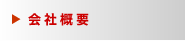 ЊTv